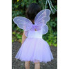 Fantasia Borboleta Rosa Infantil Clássica