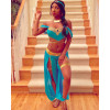 Fantasia Jasmine Luxo Adulto Sexy Fantasia Jasmine Luxo Adulto Sexy