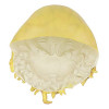 Máscara de Polvo Pirate Davy Jones Clássica Máscara de Polvo Pirate Davy Jones Luxo