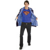 Fantasia Clark Kent Fantasia Clark Kent