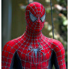 Fantasia Homem Aranha Luxo Clássica Elite Luxo Fantasia Homem Aranha Luxo Clássica Elite Luxo