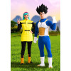 Fantasia Vegeta Dragon Ball Adulto
