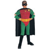 Fantasia Robin Luxo Fantasia Robin Luxo