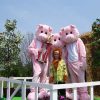 Fantasia Animal Porco Adulto Elite Luxo