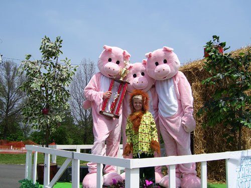 Fantasia Animal Porco Adulto Elite Luxo Fantasia Animal Porco Adulto Elite Luxo
