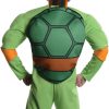 Fantasia Tartarugas Ninja Adulto Luxo Donatelo com Músculos