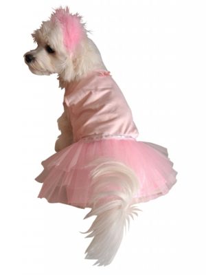 Fantasia para Cachorro Bailarina