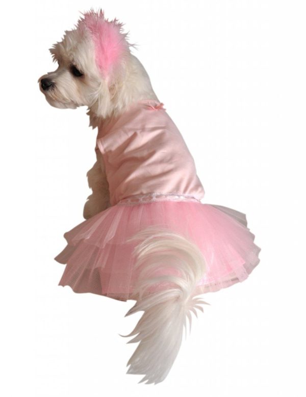 Fantasia para Cachorro Bailarina