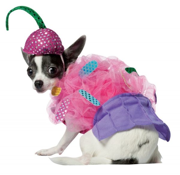 Fantasia para Cachorro Cupcake Fantasia para Cachorro Cupcake