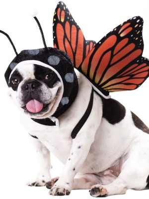 Fantasia para Cachorro de Borboleta
