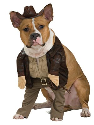 Fantasia para Cachorro Indiana Jones Fantasia para Cachorro Indiana Jones