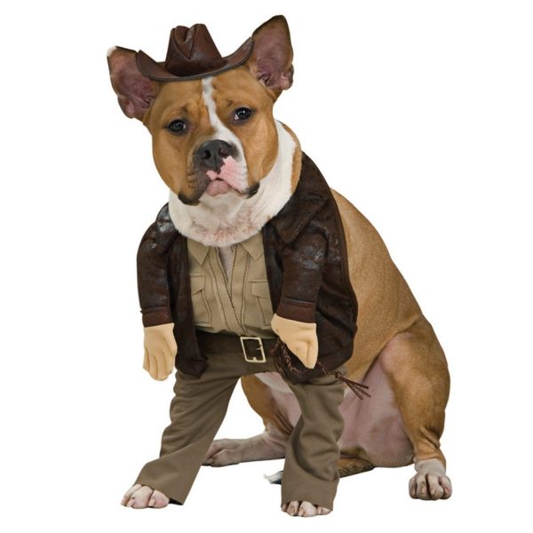 Fantasia para Cachorro Indiana Jones Fantasia para Cachorro Indiana Jones