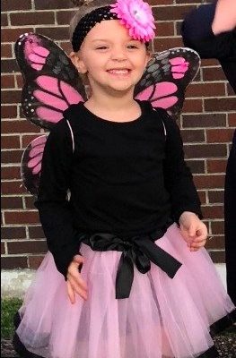Fantasia Borboleta Rosa Infantil Luxo