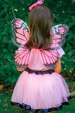 Fantasia Borboleta Rosa Infantil Luxo Fantasia Borboleta Rosa Infantil Luxo