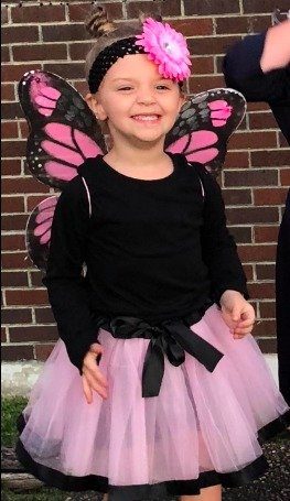 Fantasia Borboleta Rosa Infantil Luxo Fantasia Borboleta Rosa Infantil Luxo