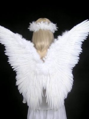 Asa Adulto para Anjo Branca Luxo Asa Adulto para Anjo Branca Luxo
