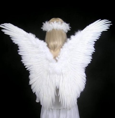Asa Adulto para Anjo Branca Luxo Asa Adulto para Anjo Branca Luxo