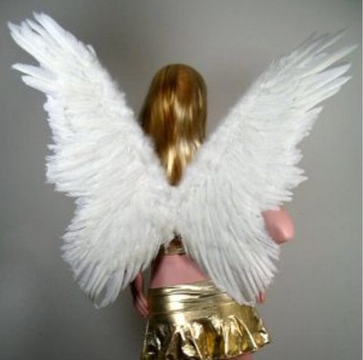 Asa Anjo Branca e Preta Luxo Asa Anjo Branca e Preta Luxo