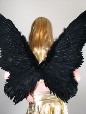 Asa Anjo Branca e Preta Luxo Asa Anjo Branca e Preta Luxo