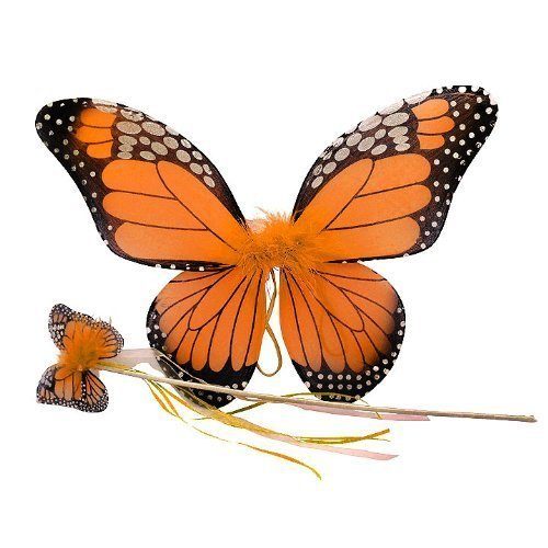 Asa Borboleta Infantil Luxo Laranja Asa Borboleta Infantil Luxo Laranja