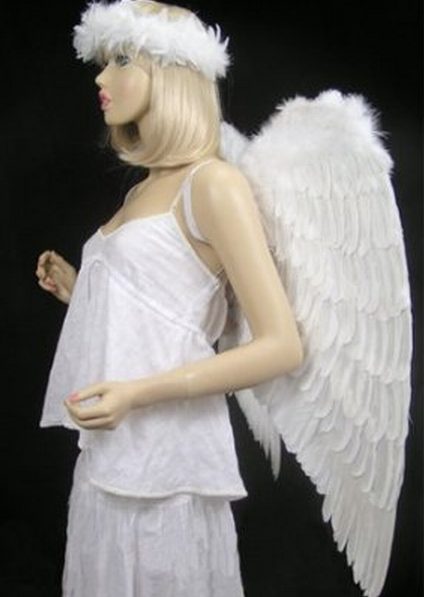 Asa Branca Anjo Adulto Luxo Asa Branca Anjo Adulto Luxo