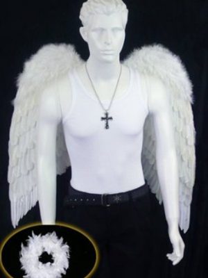 Asa Branca Anjo Adulto Luxo Asa Branca Anjo Adulto Luxo