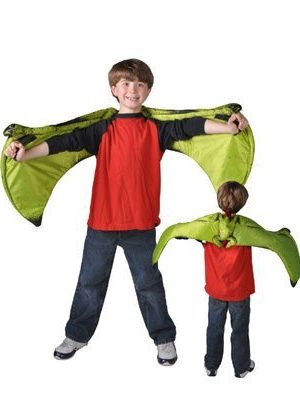 Asa de Dinossauro Pteranodon Asa de Dinossauro Pteranodon