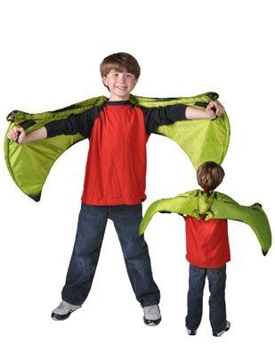 Asa de Dinossauro Pteranodon Asa de Dinossauro Pteranodon