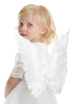 Asa de Penas Luxo Infantil Clássica Asa de Penas Luxo Infantil Clássica