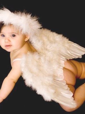Asa de Penas para Bebê Asa de Penas para Bebê