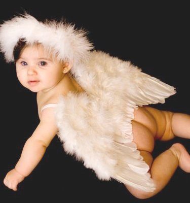 Asa de Penas para Bebê Asa de Penas para Bebê