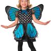 Fantasia Borboleta Azul Infantil