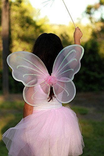 Fantasia Borboleta Rosa Infantil Clássica