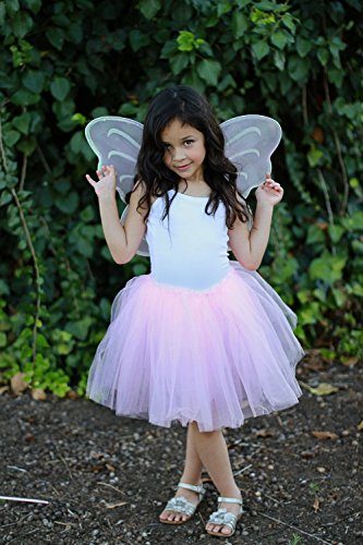 Fantasia Borboleta Rosa Infantil Clássica