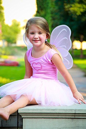 Fantasia Borboleta Rosa Infantil Clássica