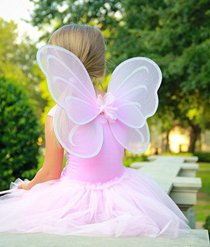 Fantasia Borboleta Rosa Infantil Clássica