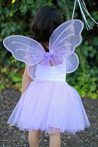 Fantasia Borboleta Rosa Infantil Clássica