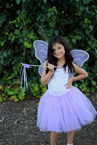 Fantasia Borboleta Rosa Infantil Clássica