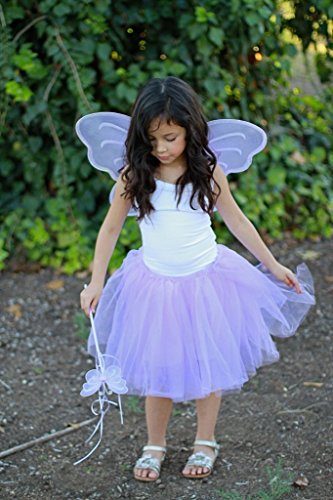 Fantasia Borboleta Rosa Infantil Clássica