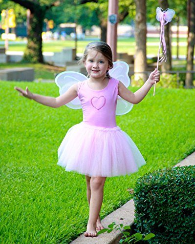 Fantasia Borboleta Rosa Infantil Clássica