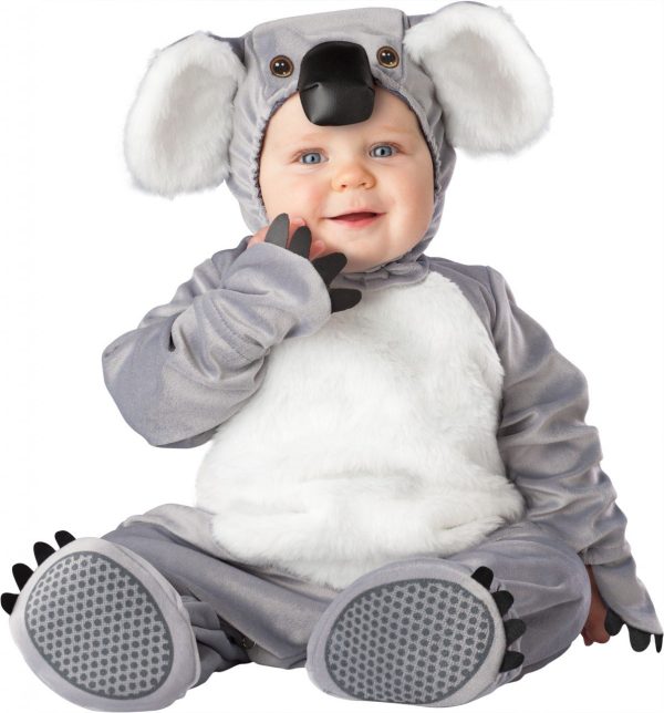 Fantasia Koala Bebê Parmalat Fantasia Koala Bebê Parmalat