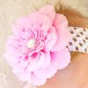 Tiaras de Flores Peonias em Cores Variadas