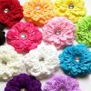 Tiaras de Flores Peonias em Cores Variadas