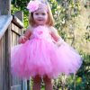 Vestido Bailarina Rosa Luxo