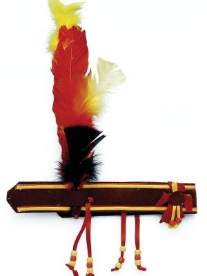 Cocar de India Clássica Luxo