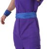 Fantasia Gohan Dragon Ball Adulto