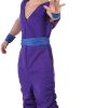 Fantasia Gohan Dragon Ball Adulto