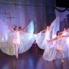Asa Branca Dança do Ventre Luxo Adulto