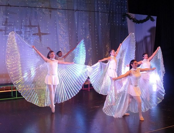 Asa Branca Dança do Ventre Luxo Adulto Asa Branca Dança do Ventre Luxo Adulto