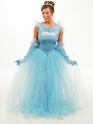 Fantasia Adulto Cinderela Luxo Fantasia Adulto Cinderela Luxo